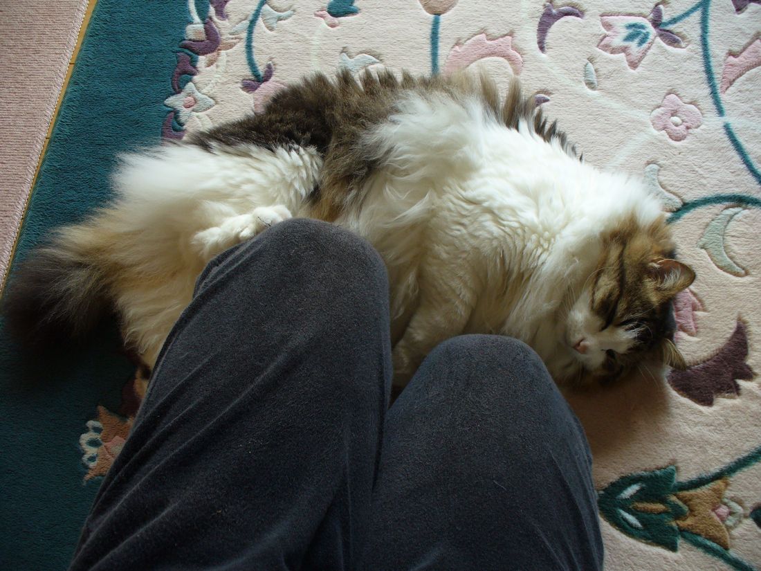 f0346527_2220411.jpg