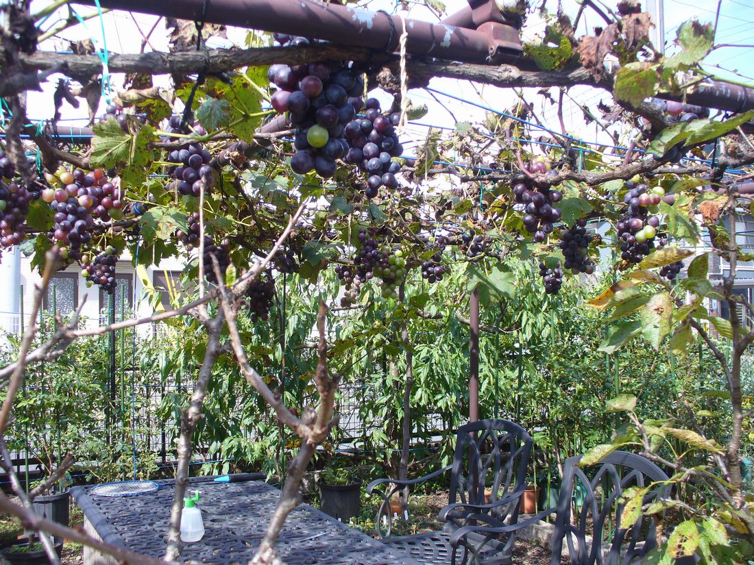 f0346527_2235403.jpg