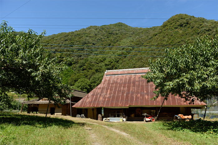 d0029829_19425192.jpg