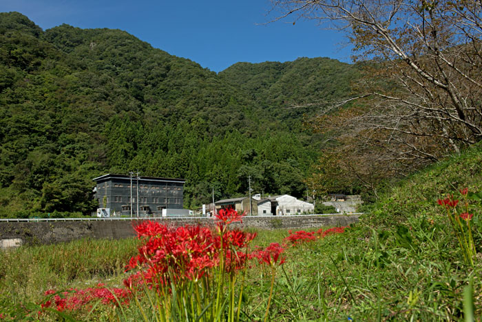 d0029829_9364538.jpg