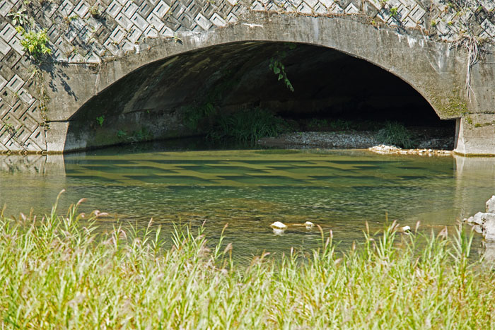 d0029829_9371613.jpg