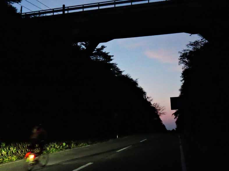 d0211129_10165289.jpg