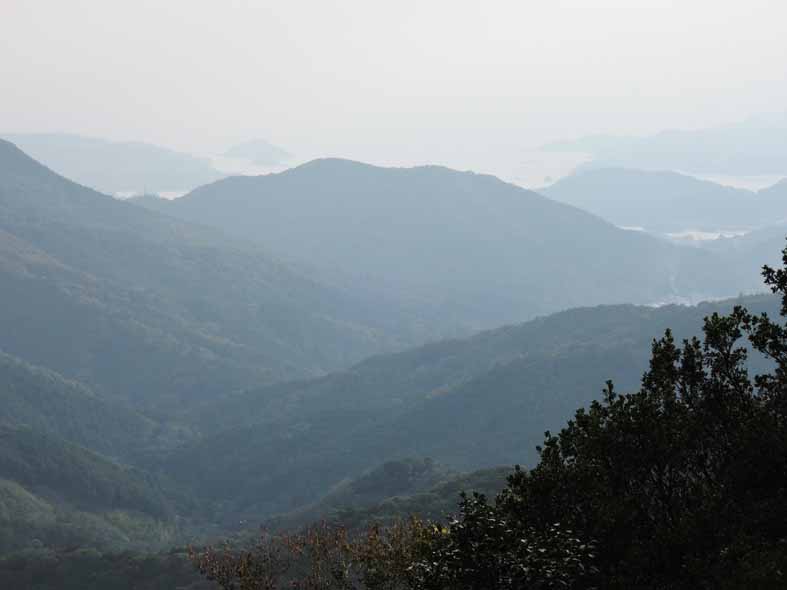 d0211129_9594221.jpg