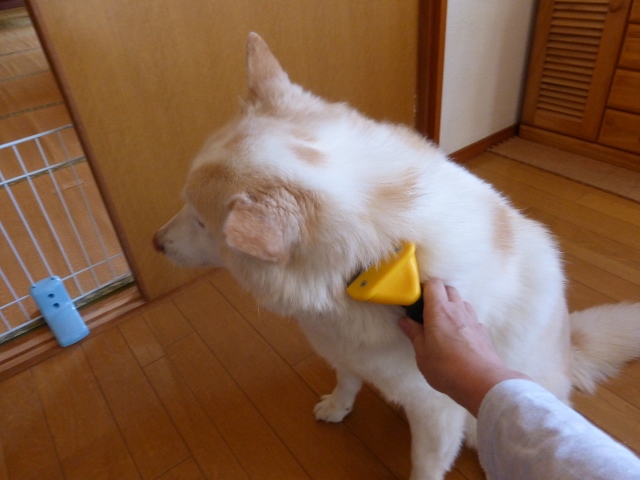 b0138430_14462584.jpg