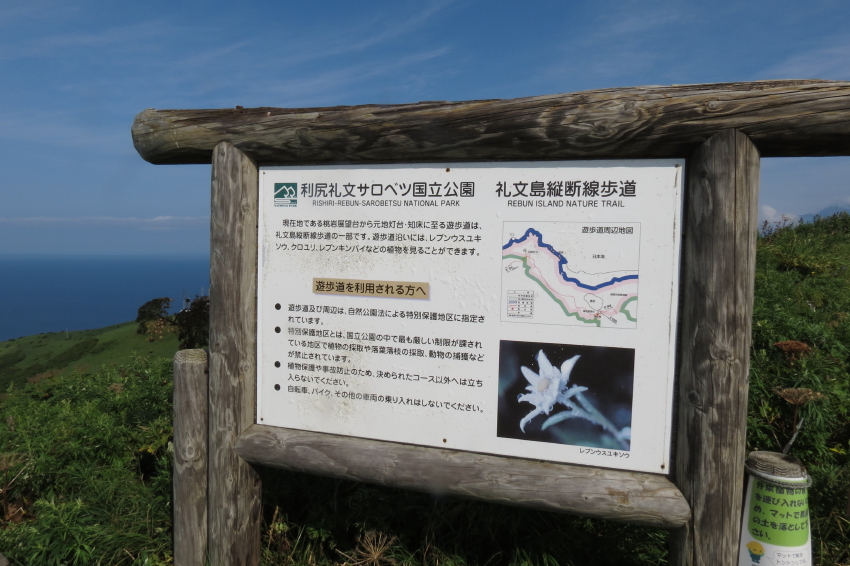 f0017530_21263474.jpg
