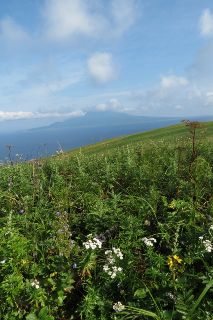 f0017530_21281036.jpg