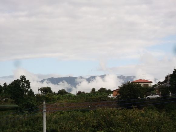 b0137932_16152399.jpg