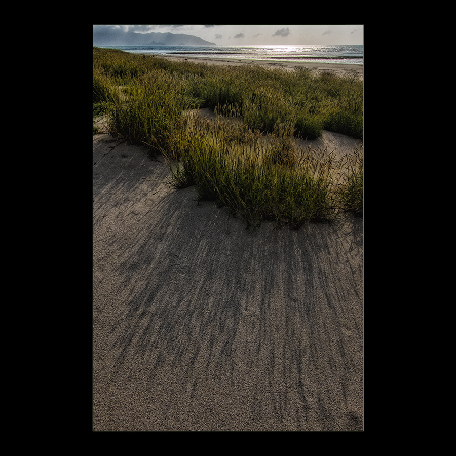 d0004832_185224100.jpg