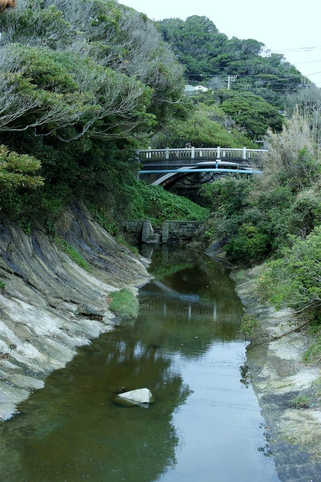 a0318033_23354080.jpg