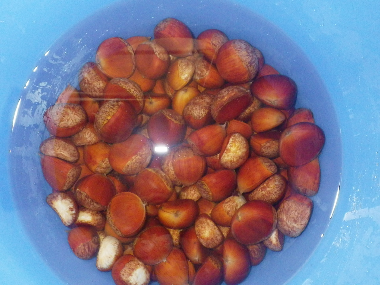 c0300035_8165758.jpg
