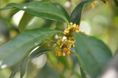 f0302638_23561377.jpg