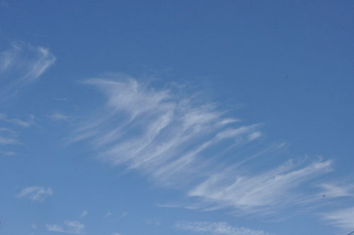 f0302638_23561929.jpg