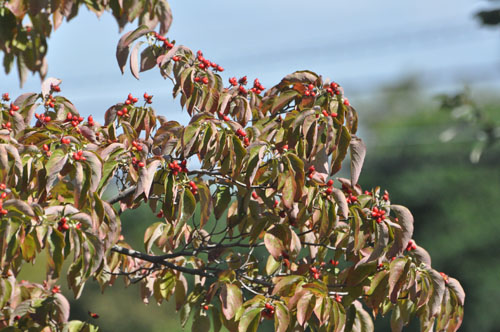 f0302638_2356453.jpg