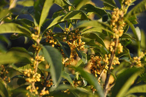 f0302638_2357490.jpg