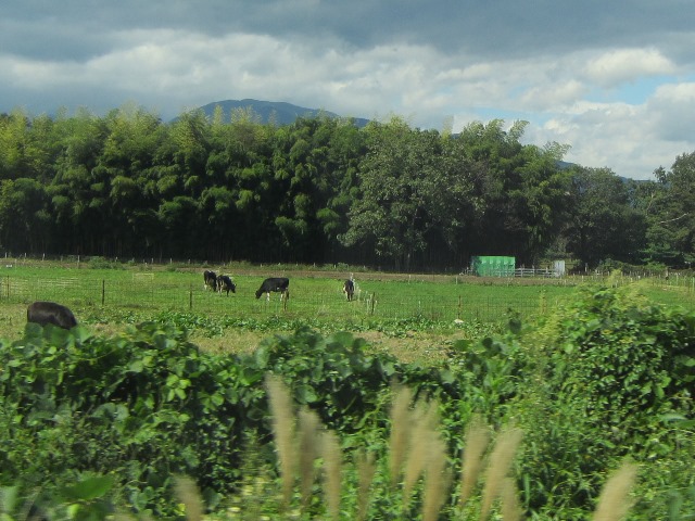 b0289649_23232258.jpg