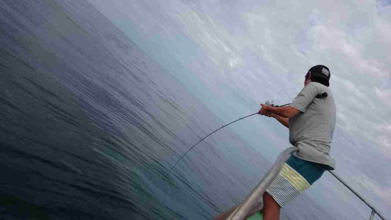 a0248152_19202774.jpg