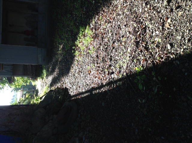 b0311459_7542426.jpg