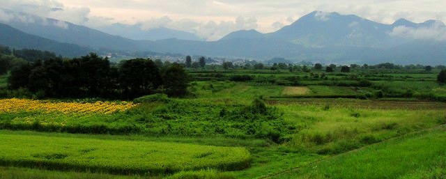 c0119160_20303340.jpg