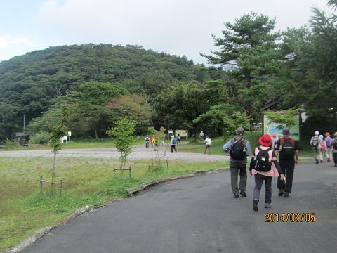 d0029363_12324023.jpg