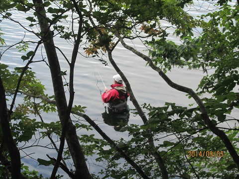 d0029363_12333791.jpg
