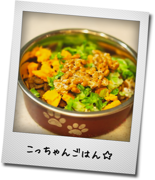 a0232774_13592085.png