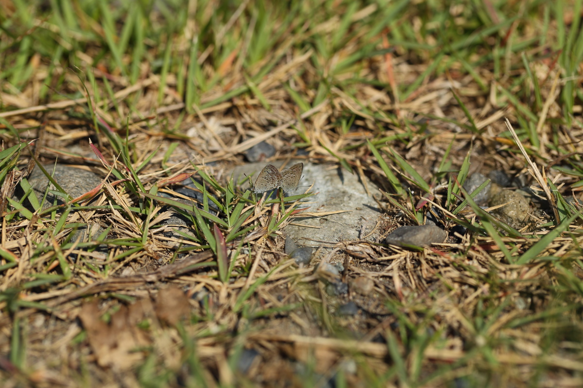 e0249878_20362670.jpg