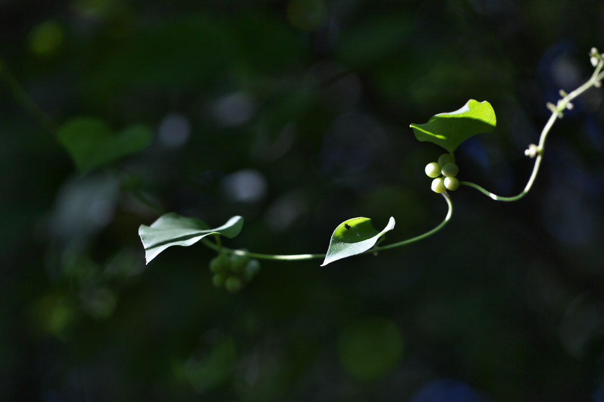 a0083081_162587.jpg