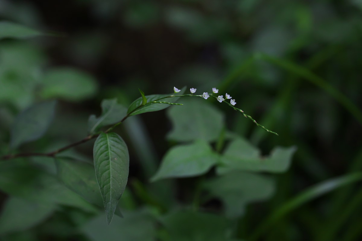 a0083081_1632765.jpg