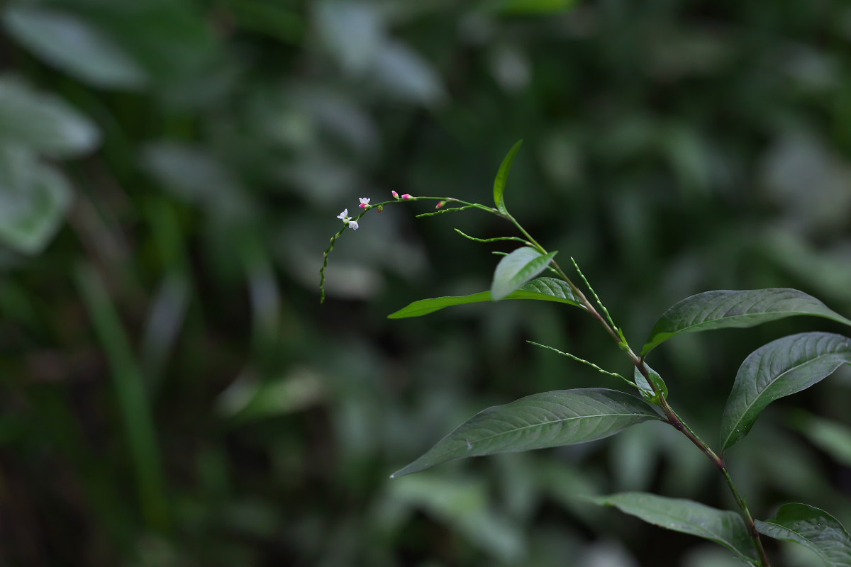 a0083081_1633345.jpg