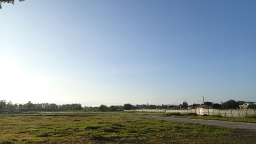 a0109187_9231742.jpg