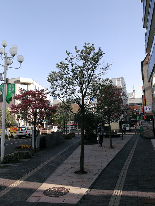 c0001491_0362874.jpg