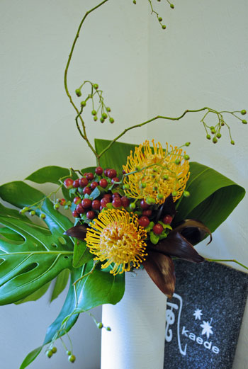 f0223594_19145050.jpg