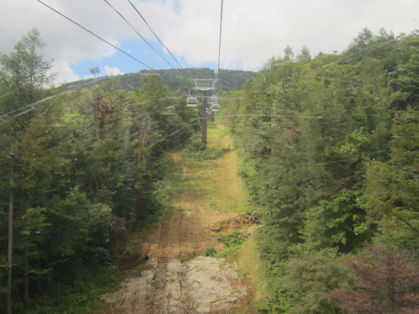 d0098295_2233102.jpg