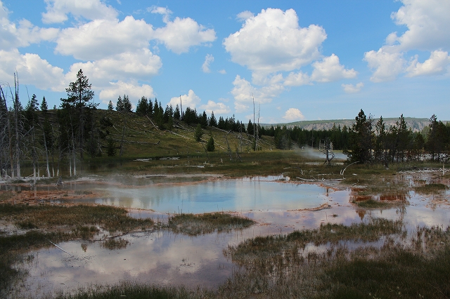 c0153302_14440647.jpg