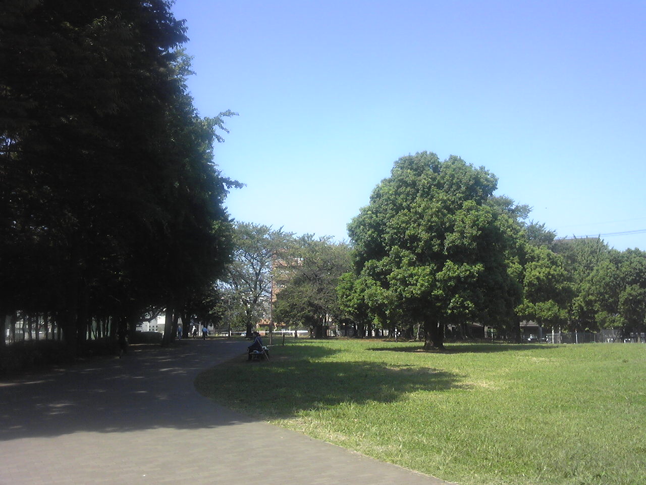 e0242504_05471295.jpg