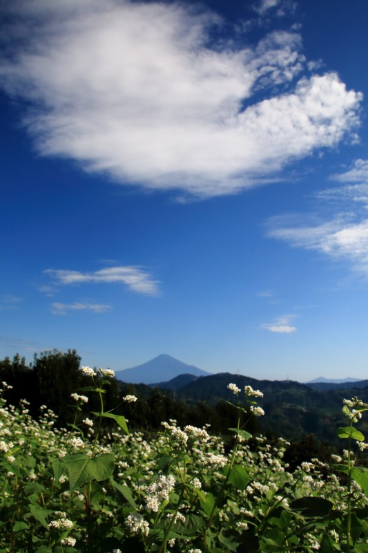 a0188405_22255726.jpg
