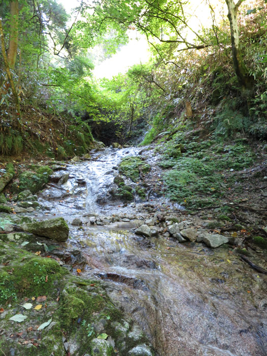 e0077010_1957723.jpg