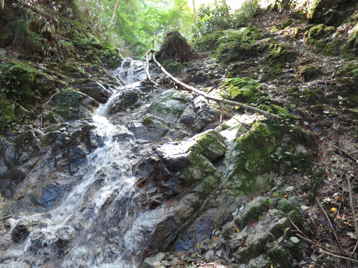 e0077010_2012513.jpg