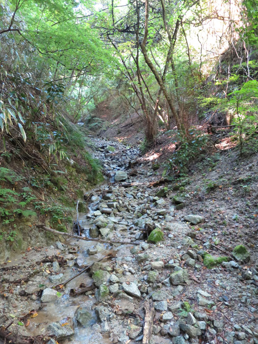 e0077010_204690.jpg