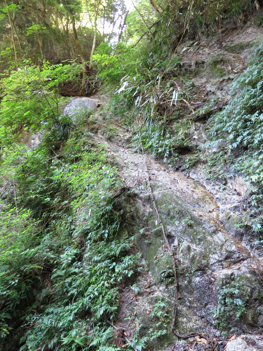 e0077010_2051334.jpg