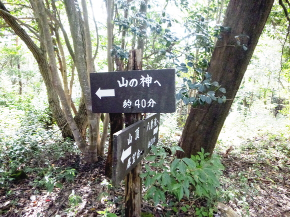 d0170615_11313391.jpg