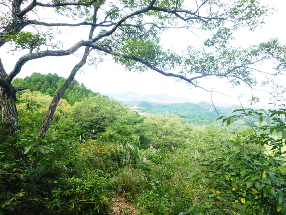 d0170615_11321011.jpg