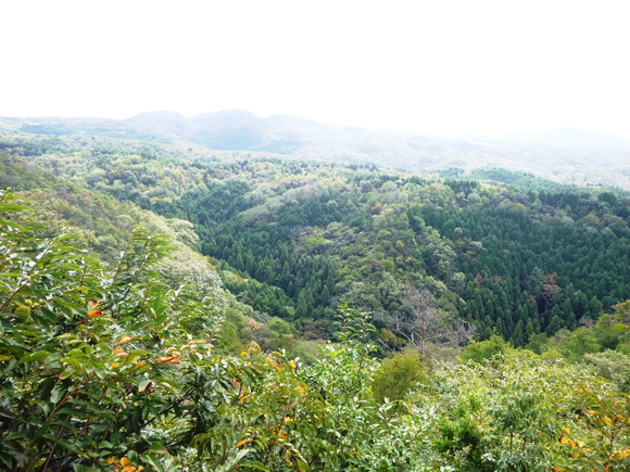d0170615_11323128.jpg