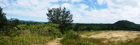 d0170615_11325132.jpg