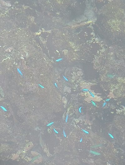 f0036716_18122375.jpg