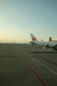 f0097523_1795128.jpg