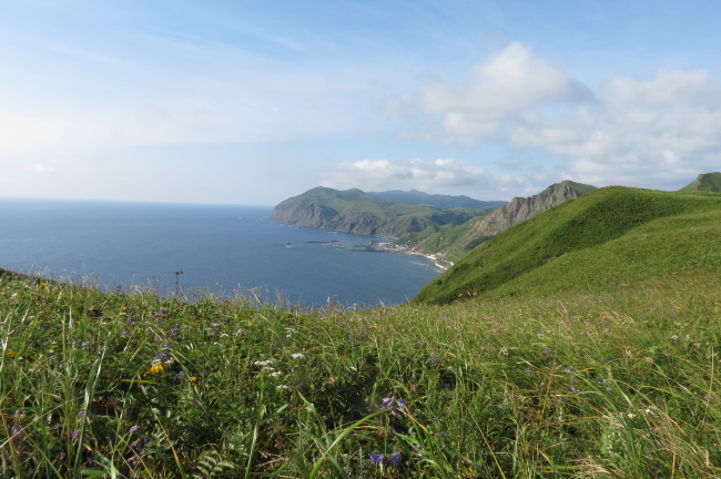 f0017530_22584244.jpg