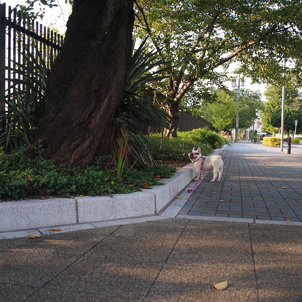 a0148431_18370635.jpg