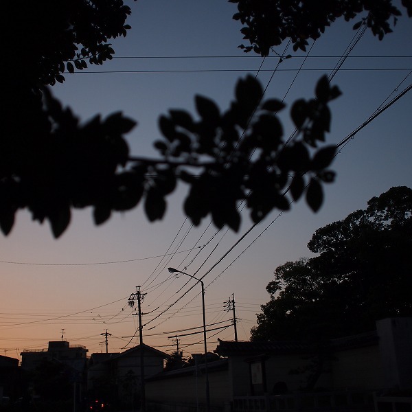 a0148431_18580230.jpg