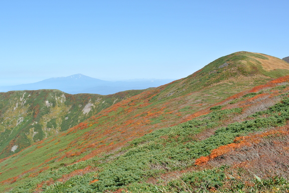 f0118332_22311675.jpg